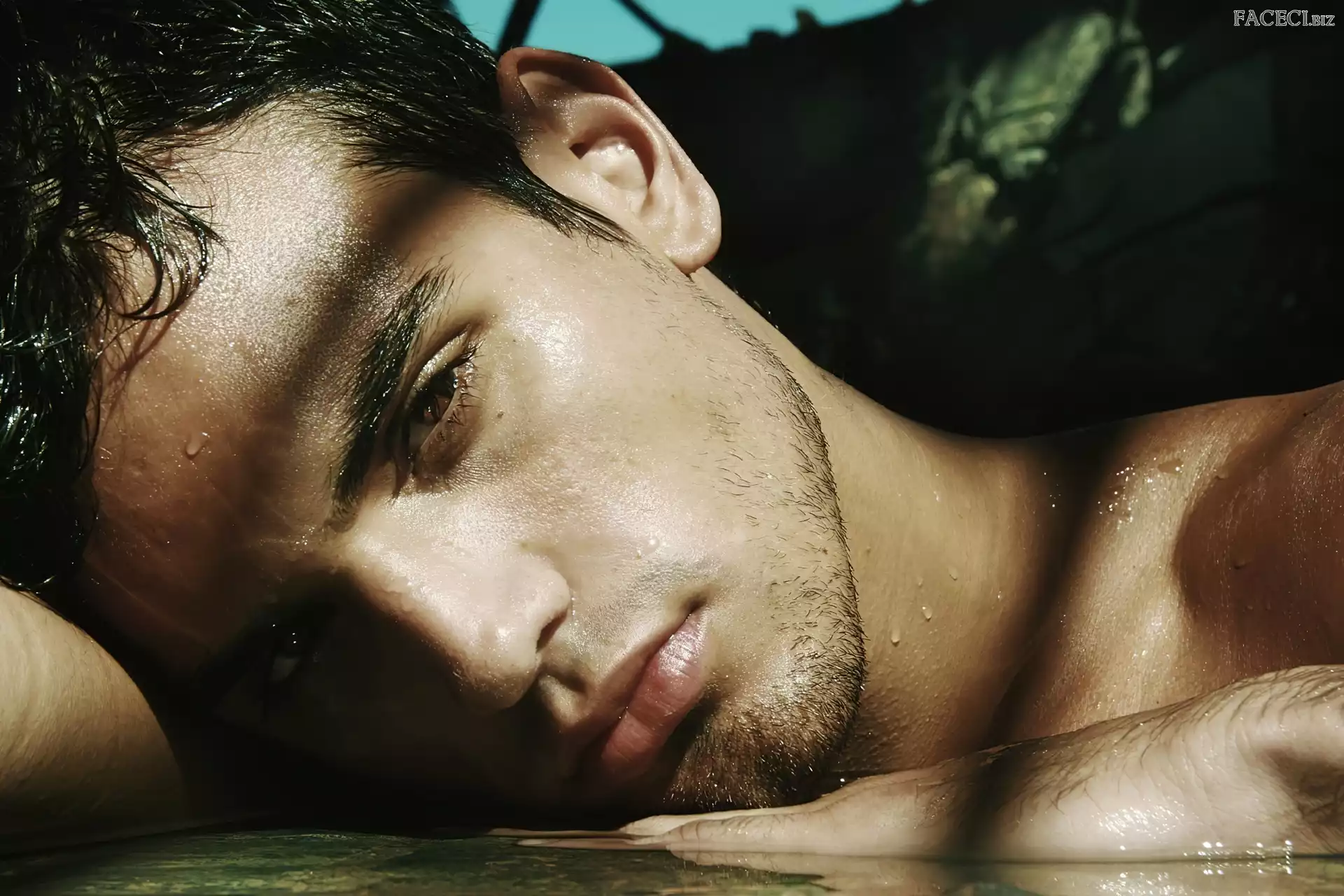 Spojrzenie, Facet, Twarz