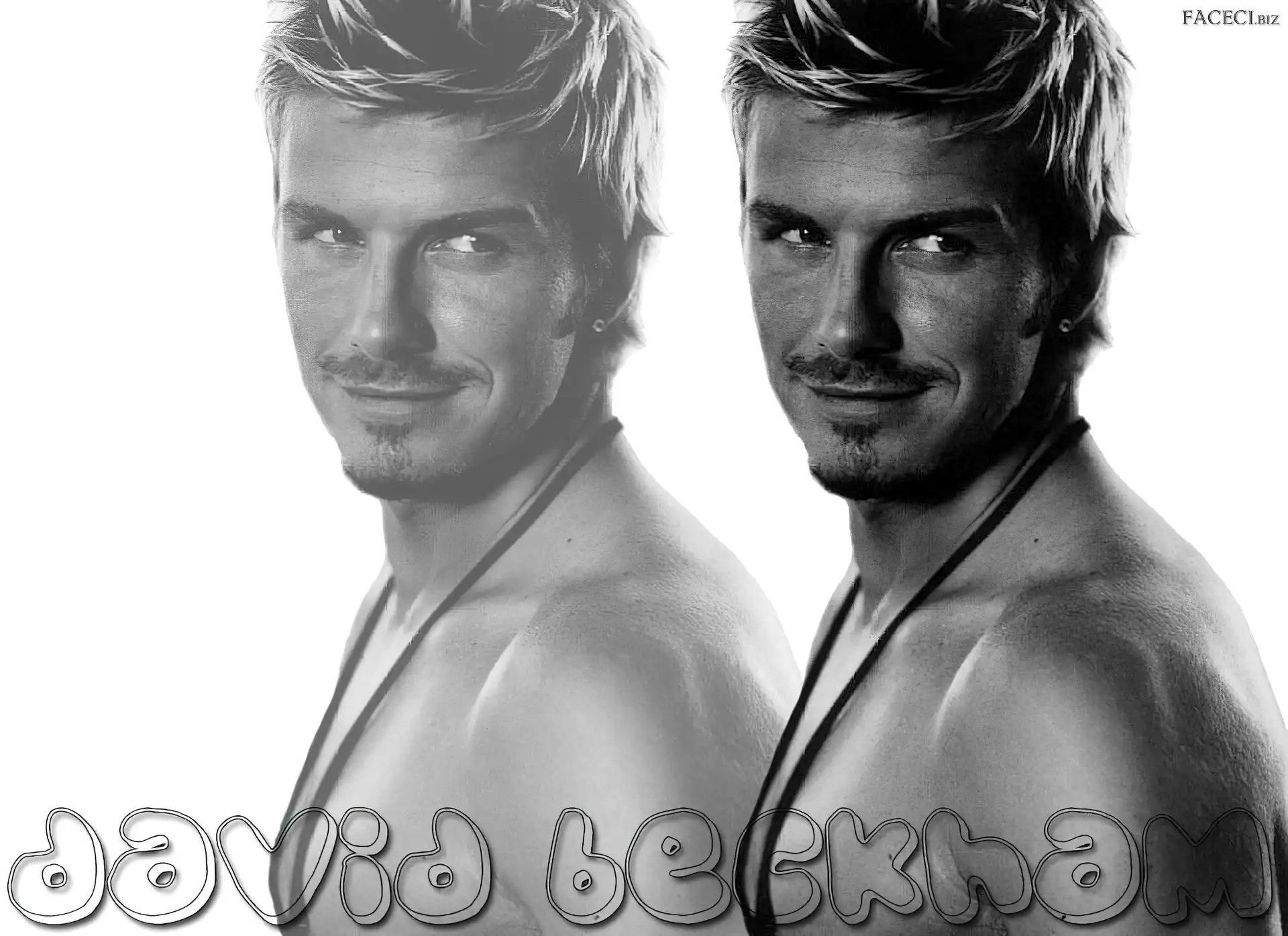 Profilu, David Beckham, Z
